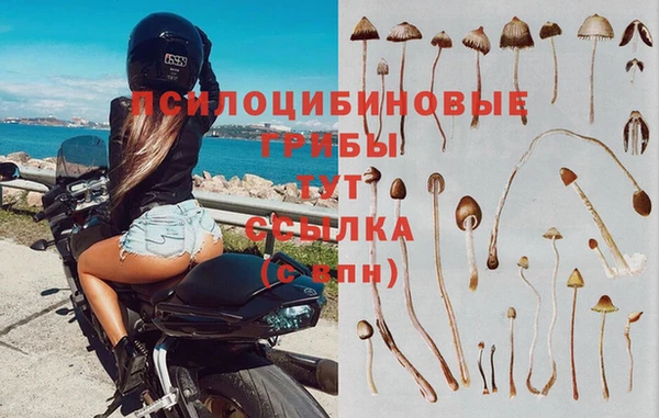мдпв Горняк