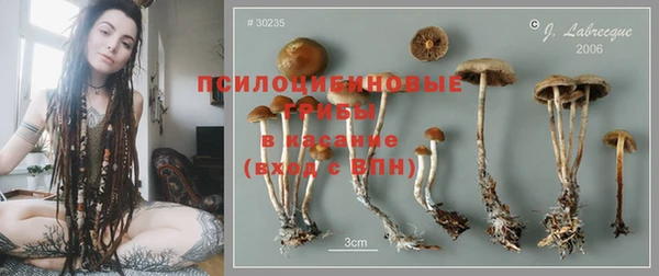 apvp Горнозаводск