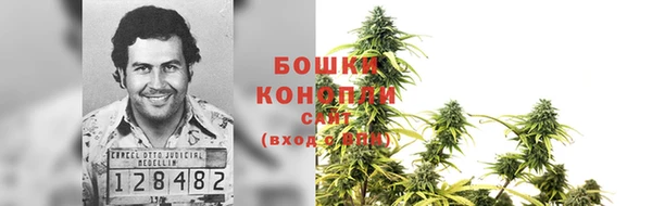 apvp Горнозаводск