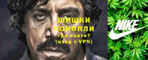 мдпв Горняк