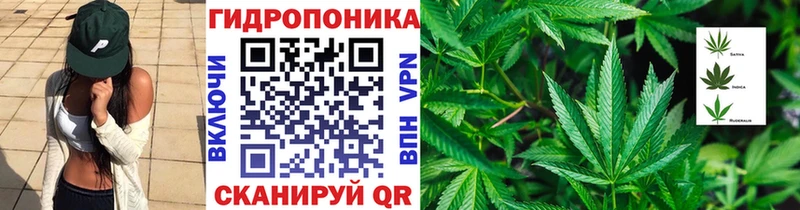 Купить закладки  Балашов  Марихуана AK-47 